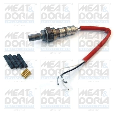 Oxygen Sensor